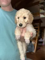 processed/17224332-dc98-4055-8322-1821f8c2c73b/listing/cdd3ef82-dc57-48bf-9a40-6b4fcd48b23f/ec9ef10e-9aaa-453a-83cc-9f8b8091a584