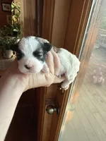 processed/17224332-dc98-4055-8322-1821f8c2c73b/listing/d27ac843-bf32-4127-a893-d5cd9802b840/45b109c3-c1ef-46aa-a660-3b5d52a2ed38