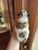 processed/17224332-dc98-4055-8322-1821f8c2c73b/listing/d27ac843-bf32-4127-a893-d5cd9802b840/6b2fa7e8-a424-4a4f-a48c-0c9c074ca7b3