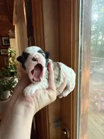 processed/17224332-dc98-4055-8322-1821f8c2c73b/listing/d27ac843-bf32-4127-a893-d5cd9802b840/daea7eee-5c67-4b55-bfd9-b374e11687d5