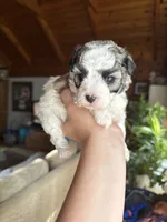 processed/17224332-dc98-4055-8322-1821f8c2c73b/listing/d45bf833-f3b6-4273-b9ee-f10a21216f1c/3459f926-450a-40e9-ac7c-2406762849fb