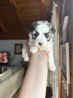 processed/17224332-dc98-4055-8322-1821f8c2c73b/listing/d45bf833-f3b6-4273-b9ee-f10a21216f1c/7a1f3041-d704-41a5-8d88-c0a096a7a524