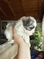 processed/17224332-dc98-4055-8322-1821f8c2c73b/listing/d45bf833-f3b6-4273-b9ee-f10a21216f1c/b0b72861-01f5-4d21-97fe-be00f5e62b65