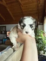 processed/17224332-dc98-4055-8322-1821f8c2c73b/listing/d45bf833-f3b6-4273-b9ee-f10a21216f1c/c7298651-2594-4699-abfd-83fb1b4fab29