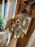 processed/17224332-dc98-4055-8322-1821f8c2c73b/listing/fdd4280e-dddf-4b53-a714-4cba528cb876/3eef3344-d15c-474a-90f9-2ac2b86bca45