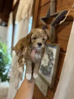 processed/17224332-dc98-4055-8322-1821f8c2c73b/listing/fdd4280e-dddf-4b53-a714-4cba528cb876/5354e51e-6428-4173-8818-3bc6b95c878e