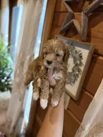 processed/17224332-dc98-4055-8322-1821f8c2c73b/listing/fdd4280e-dddf-4b53-a714-4cba528cb876/c343e549-666e-4442-bcf7-638bd15c8772