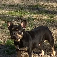 processed/1724c63e-5dca-4d72-84fc-fe507c19352e/facility/08c19d07-a560-4ff4-b38e-cc83a5406e96