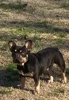 processed/1724c63e-5dca-4d72-84fc-fe507c19352e/facility/08c19d07-a560-4ff4-b38e-cc83a5406e96