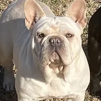 processed/1724c63e-5dca-4d72-84fc-fe507c19352e/facility/0c7c0e93-18a1-445a-b745-445916a51cb5