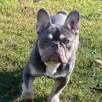 processed/1724c63e-5dca-4d72-84fc-fe507c19352e/facility/3fa87311-2504-4038-a86b-84d765ee3325