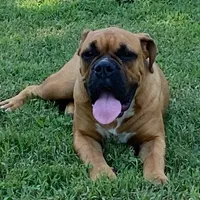 processed/1724c63e-5dca-4d72-84fc-fe507c19352e/facility/5d0dfdf3-f8d0-4e96-acd5-3d788afae0ae