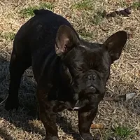 processed/1724c63e-5dca-4d72-84fc-fe507c19352e/facility/aad3358b-c92e-4dbf-b924-da9052090493