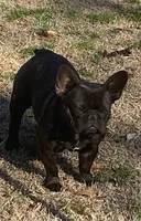 processed/1724c63e-5dca-4d72-84fc-fe507c19352e/facility/aad3358b-c92e-4dbf-b924-da9052090493