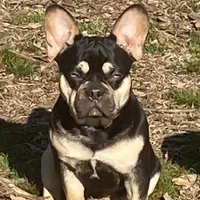 processed/1724c63e-5dca-4d72-84fc-fe507c19352e/facility/bbe52003-8035-496b-9508-258b5f7c039b