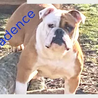 processed/1724c63e-5dca-4d72-84fc-fe507c19352e/facility/cebc56a3-354b-41c5-9047-3e9267a39f86