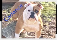 processed/1724c63e-5dca-4d72-84fc-fe507c19352e/facility/cebc56a3-354b-41c5-9047-3e9267a39f86