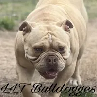 processed/1724c63e-5dca-4d72-84fc-fe507c19352e/facility/ec4b29de-f6c4-4ff0-b809-adc9eb5a4a64