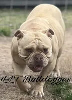 processed/1724c63e-5dca-4d72-84fc-fe507c19352e/facility/ec4b29de-f6c4-4ff0-b809-adc9eb5a4a64