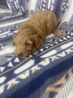 processed/1729b447-1d92-47dd-b2f3-d76dbe5032fa/listing/89276c33-32d2-4c6a-83de-6d9ede2e23a7/22386c78-d0b1-477c-a85f-a1f326925130