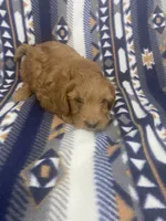 processed/1729b447-1d92-47dd-b2f3-d76dbe5032fa/listing/89276c33-32d2-4c6a-83de-6d9ede2e23a7/81eb5f46-7b0e-4cfd-8e53-0b585bf386fd