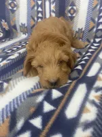 processed/1729b447-1d92-47dd-b2f3-d76dbe5032fa/listing/89276c33-32d2-4c6a-83de-6d9ede2e23a7/bc396287-defe-4038-9662-6f5df5664439