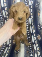 processed/1729b447-1d92-47dd-b2f3-d76dbe5032fa/listing/89276c33-32d2-4c6a-83de-6d9ede2e23a7/e69aa3ec-9dd8-4895-bb00-e2c7af121595