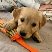 processed/1729e0ae-ae55-4e44-a582-5209860bd32a/listing/5168ed0d-3836-43ae-9ca3-04392e890547/0eda429a-9342-48df-aa72-8b2cd3134634