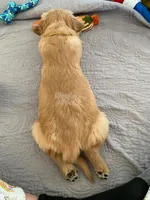 processed/1729e0ae-ae55-4e44-a582-5209860bd32a/listing/5168ed0d-3836-43ae-9ca3-04392e890547/42a8e659-5279-4da9-8737-fa807bd335bb