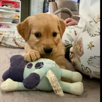 processed/1729e0ae-ae55-4e44-a582-5209860bd32a/listing/5168ed0d-3836-43ae-9ca3-04392e890547/5ec9d490-f5eb-4b20-b46f-1dde6cf3d9a8