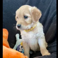 processed/1729e0ae-ae55-4e44-a582-5209860bd32a/listing/5168ed0d-3836-43ae-9ca3-04392e890547/754f2834-fb11-4e2f-9474-277ea35e2f40