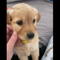 processed/1729e0ae-ae55-4e44-a582-5209860bd32a/listing/5168ed0d-3836-43ae-9ca3-04392e890547/84587cf4-e313-43e0-992f-ef6ae69dad1d