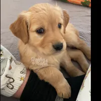 processed/1729e0ae-ae55-4e44-a582-5209860bd32a/listing/5168ed0d-3836-43ae-9ca3-04392e890547/c7ca6f73-9a72-457d-a777-a226246702c0