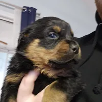 processed/172a81c8-2b80-4804-955c-e6428d240e8c/listing/8015331a-50ed-4876-9ce9-39f7001556f7/6a39e13b-caa9-4bf6-8437-90067c300a9e