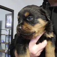 processed/172a81c8-2b80-4804-955c-e6428d240e8c/listing/8015331a-50ed-4876-9ce9-39f7001556f7/b856fb5e-60d7-4ad9-ba78-bf51e1af2854