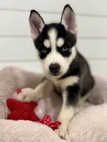 processed/172b0b66-e3f6-4b8b-be8d-9df7c1e7cf24/listing/7b768768-73a3-4b45-ac3d-93c6852ccc85/0f6f3eb0-d21d-47d8-8a52-5d087e3f461e