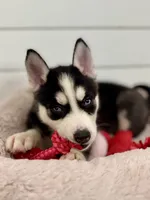 processed/172b0b66-e3f6-4b8b-be8d-9df7c1e7cf24/listing/7b768768-73a3-4b45-ac3d-93c6852ccc85/19e1c7a3-6b0c-455f-a3f1-16b5e1ee1623