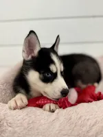 processed/172b0b66-e3f6-4b8b-be8d-9df7c1e7cf24/listing/7b768768-73a3-4b45-ac3d-93c6852ccc85/3c6e8a37-6651-40ea-917c-bf90f6c0a2a6