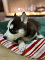 processed/172b0b66-e3f6-4b8b-be8d-9df7c1e7cf24/listing/7b768768-73a3-4b45-ac3d-93c6852ccc85/57fa5a3f-d1e1-45f6-92a0-db3cba74b89e