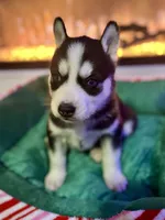 processed/172b0b66-e3f6-4b8b-be8d-9df7c1e7cf24/listing/7b768768-73a3-4b45-ac3d-93c6852ccc85/71252045-7aae-466b-9437-771bb516b6b6