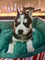 processed/172b0b66-e3f6-4b8b-be8d-9df7c1e7cf24/listing/7b768768-73a3-4b45-ac3d-93c6852ccc85/8ba4ba1c-8ed0-47f2-8de6-071186c6f602