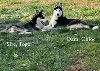 processed/172b0b66-e3f6-4b8b-be8d-9df7c1e7cf24/listing/7b768768-73a3-4b45-ac3d-93c6852ccc85/a2fa1eef-c947-4592-bf1e-2c345d501cd0