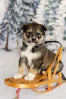 processed/172cc479-b2b8-44ef-a220-b75be984248b/listing/4f07be81-3737-4388-b7a8-5de873a29fc9/86ae5210-df21-4252-a08c-0e5b6ad3750c