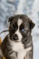 processed/172cc479-b2b8-44ef-a220-b75be984248b/listing/55e8d3cd-7a88-47a2-873f-13c7f8397594/253b2d06-6075-47cd-9fa8-30238e9b1278