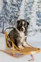 processed/172cc479-b2b8-44ef-a220-b75be984248b/listing/55e8d3cd-7a88-47a2-873f-13c7f8397594/3ad060a3-8bb8-40fe-a0aa-df4354e6e163