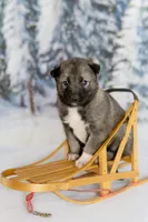 processed/172cc479-b2b8-44ef-a220-b75be984248b/listing/68e492b4-503f-47b7-9883-77e36d2ee16c/27cea970-fcf9-4d21-b013-72bbb14967aa