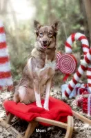 processed/172cc479-b2b8-44ef-a220-b75be984248b/listing/68e492b4-503f-47b7-9883-77e36d2ee16c/4f385b2e-97f8-4154-980a-ed16cec9de6d