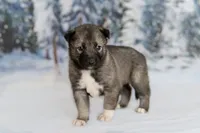 processed/172cc479-b2b8-44ef-a220-b75be984248b/listing/68e492b4-503f-47b7-9883-77e36d2ee16c/aa9d5b35-c21b-4940-a8bf-193b7a46baf1