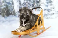 processed/172cc479-b2b8-44ef-a220-b75be984248b/listing/866de3e1-c9ff-4229-9ab8-9814647f2697/518ae133-42a0-4bbc-bb55-30855a2431b8