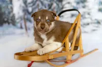 processed/172cc479-b2b8-44ef-a220-b75be984248b/listing/8742b861-5b78-4be5-be92-523f77a452fe/aded5b0e-8c72-4faa-9d6e-52bcdea232fb